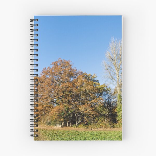 Item preview, Autumnal Trees on a Sunny Day designed and sold by Graham Prentice.