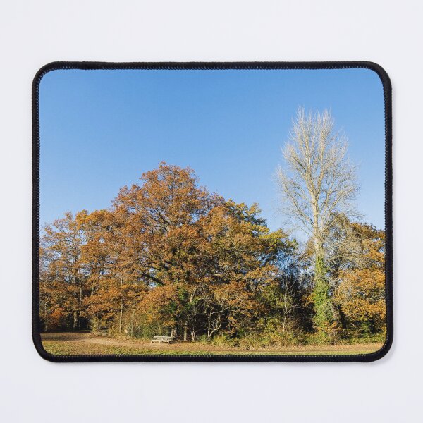Item preview, Autumnal Trees on a Sunny Day designed and sold by Graham Prentice.