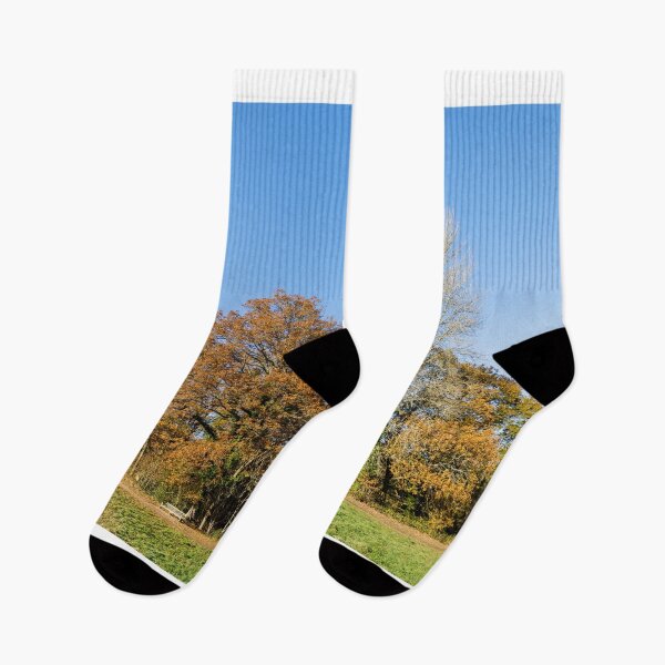 Item preview, Autumnal Trees on a Sunny Day designed and sold by Graham Prentice.