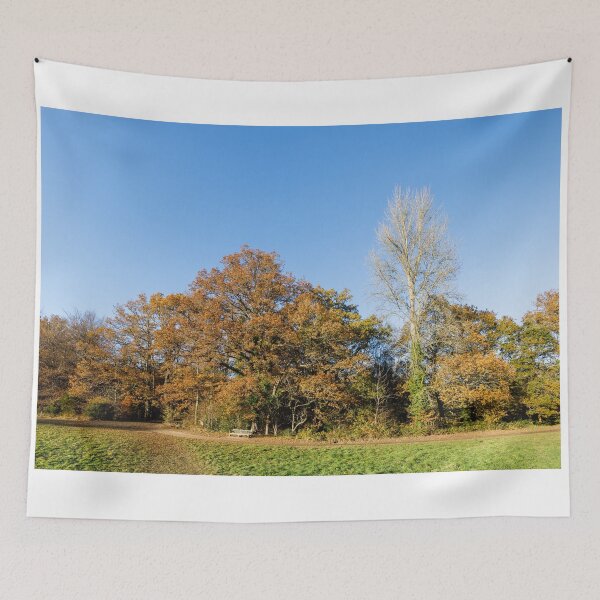 Item preview, Autumnal Trees on a Sunny Day designed and sold by Graham Prentice.