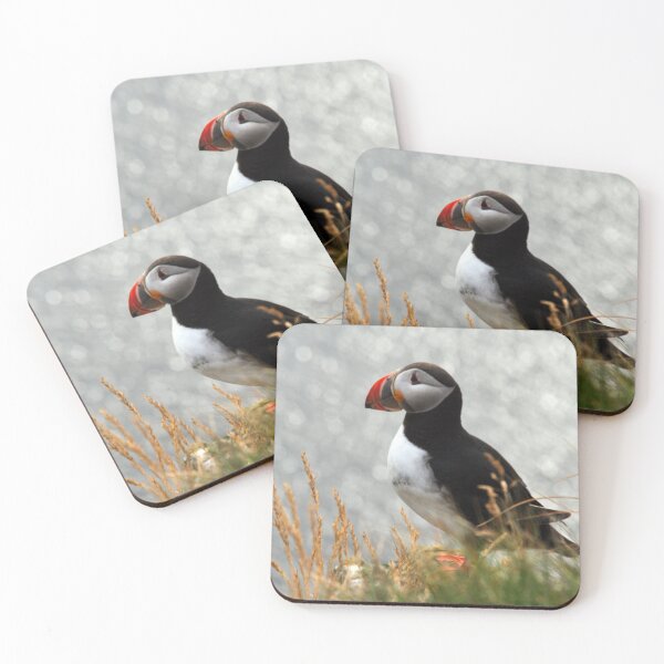 Item preview, Fratercula arctica designed and sold by Tomasz Chrapek.