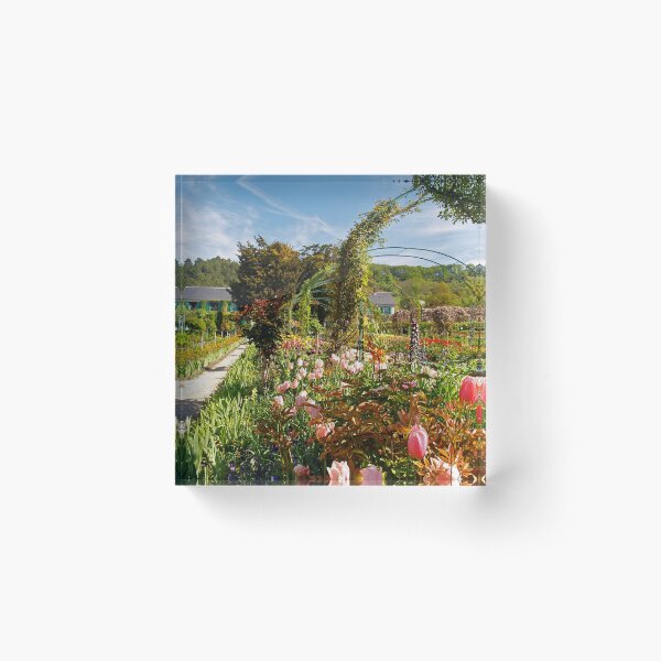 Aperçu de l'œuvre Le jardin de Monet à Giverny créée et vendue par Alex Cassels.
