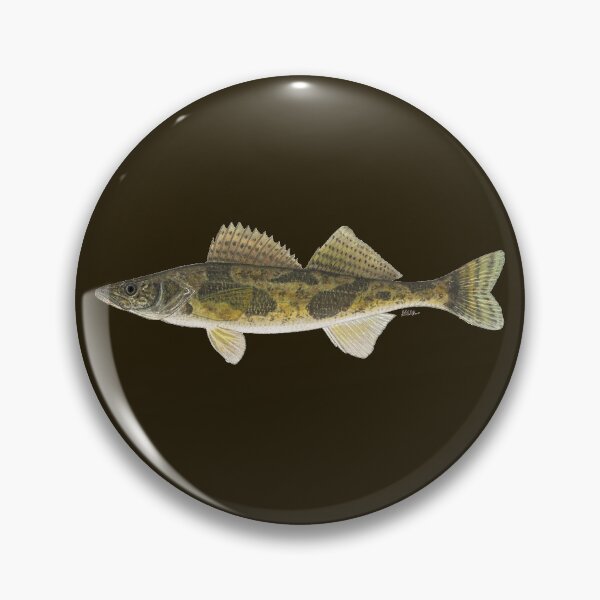 Item preview, Sauger (Sander canadensis) designed and sold by LeakyCanoeArt.