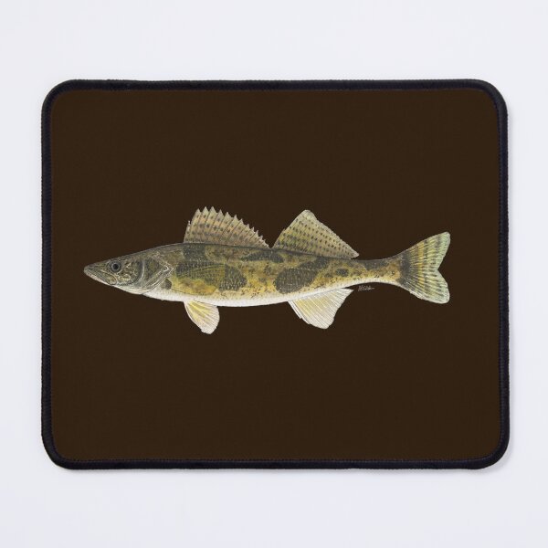 Item preview, Sauger (Sander canadensis) designed and sold by LeakyCanoeArt.
