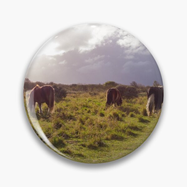 Item preview, Shetland pony in the wild designed and sold by FotoMahieu.