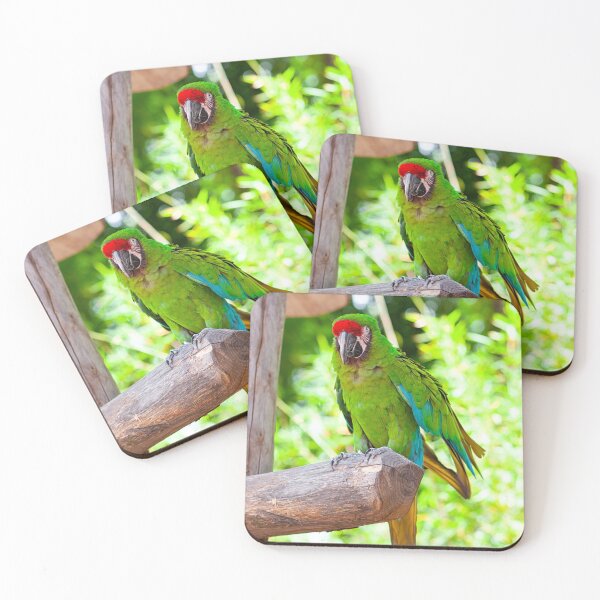 Item preview, Macaw Parrot bird designed and sold by JDScottsr.