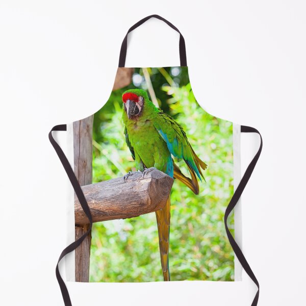 Item preview, Macaw Parrot bird designed and sold by JDScottsr.
