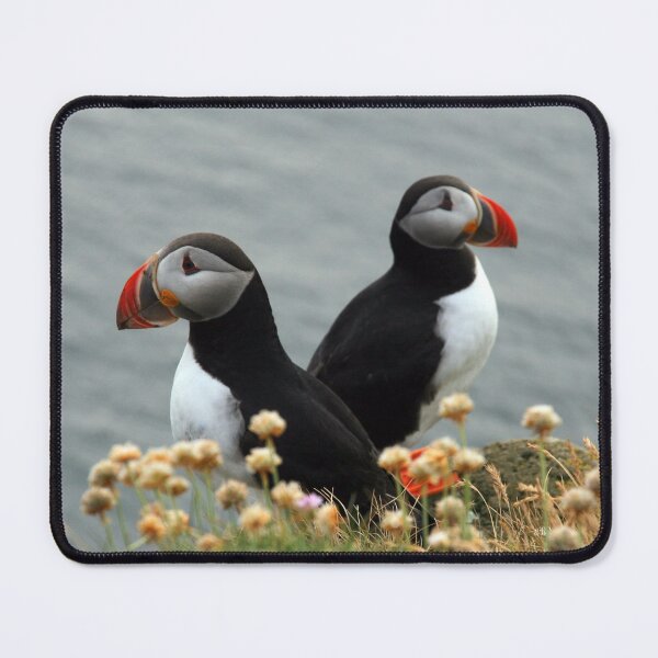 Item preview, Puffins designed and sold by Tomasz Chrapek.