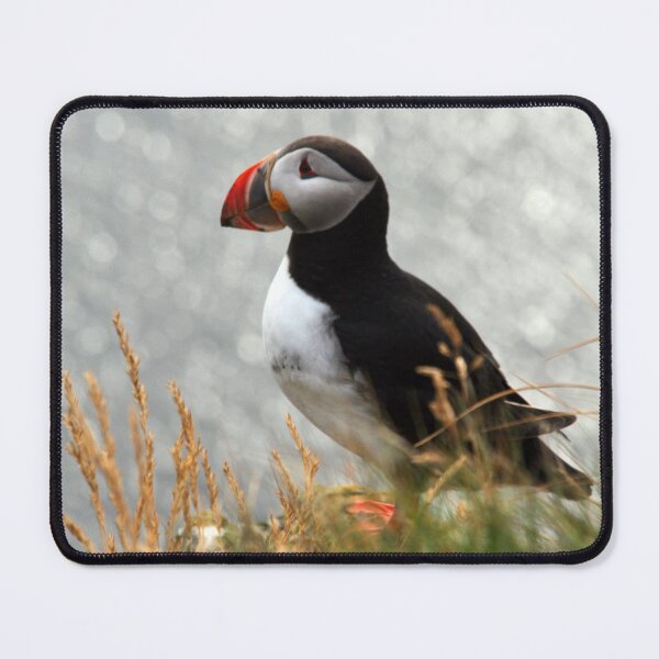 Item preview, Fratercula arctica designed and sold by Tomasz Chrapek.