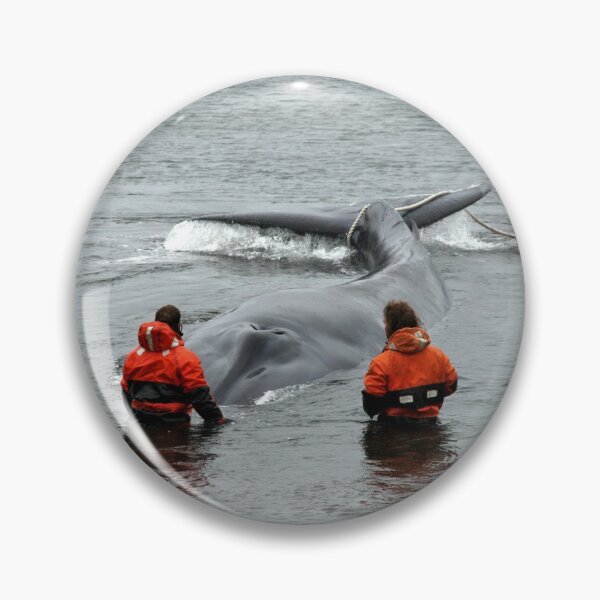 Item preview, Whale rescue designed and sold by Tomasz Chrapek.