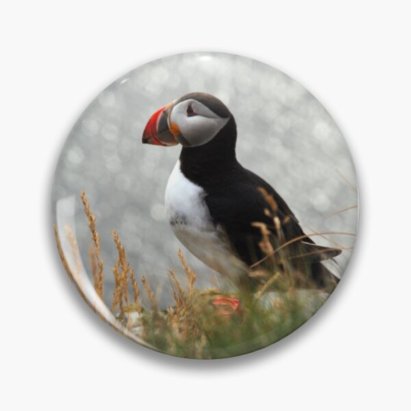Item preview, Fratercula arctica designed and sold by Tomasz Chrapek.