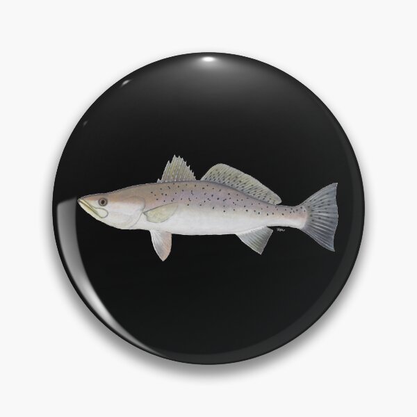 Item preview, Spotted Trout (Cynoscion nebulosus) designed and sold by LeakyCanoeArt.