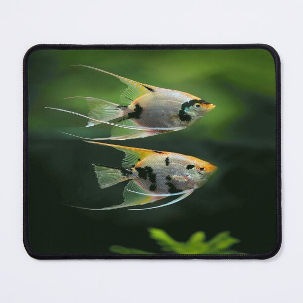 Item preview, Fishbowl designed and sold by thobealtaf.