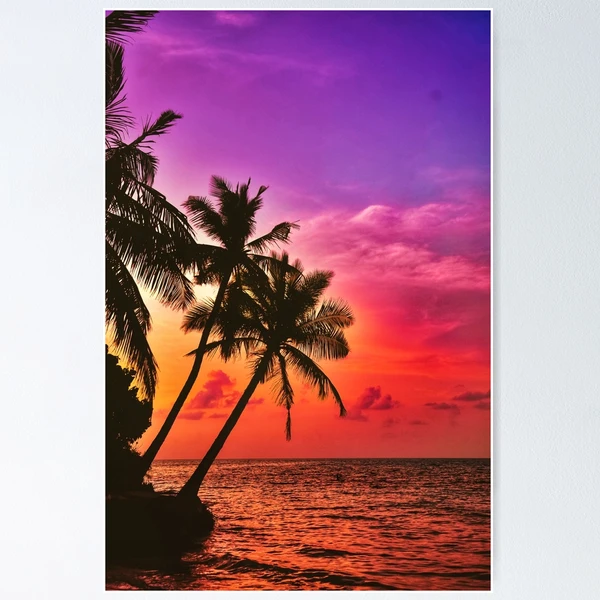 トーマス・ガラー Palm Trees, Sunsets, Turmoil fposter,small,wall_texture,