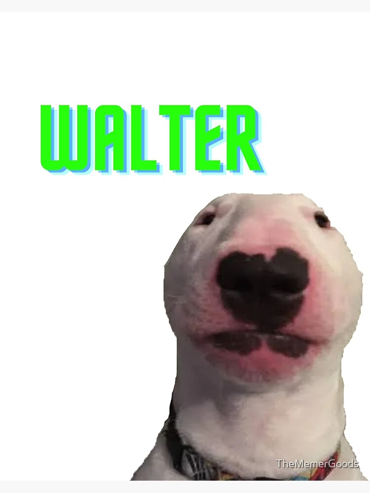 Walter The Dog Meme - Short-Sleeve Unisex T-Shirt / Nelson The Bull Terrier  - 2021 Men'S Shirt, Dog Lover Gift For Tee Tops