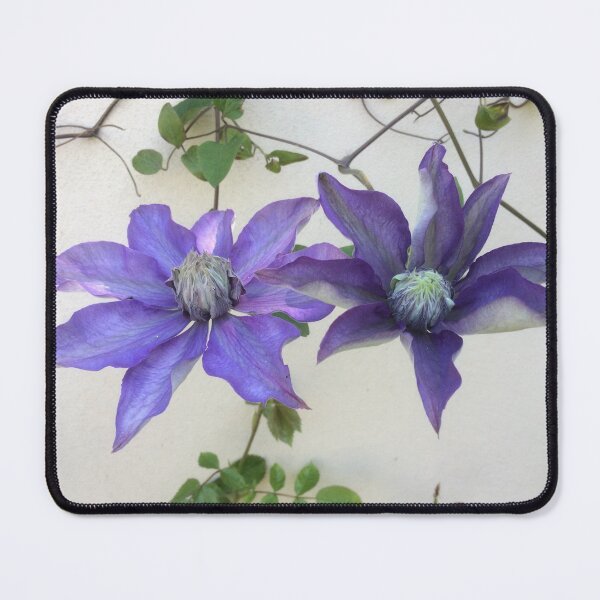 Item preview, Blue Clematis designed and sold by Evelyn Smoldon.