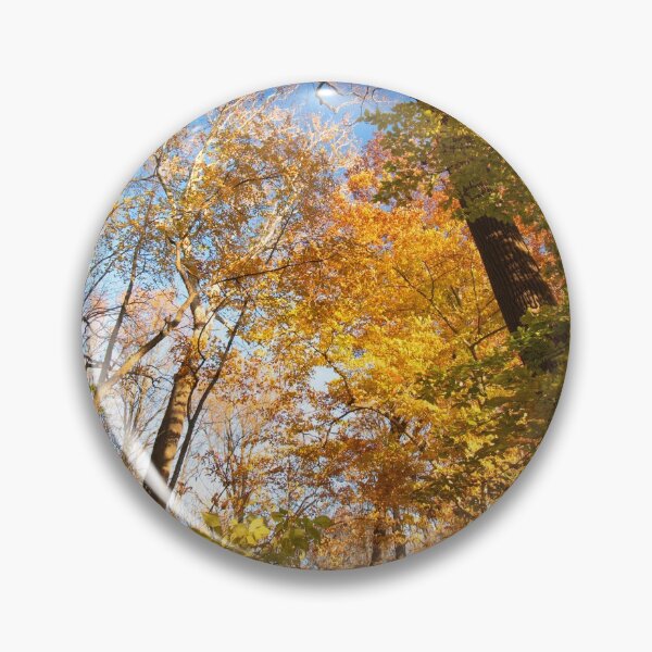 Item preview, Sendero del bosque de Pensilvania, otoño designed and sold by AMacGPhilly.