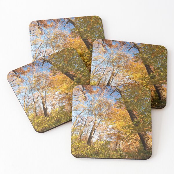 Item preview, Pennsylvania Woodland Path, Autumn designed and sold by AMacGPhilly.