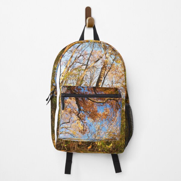 Item preview, Pennsylvania Woodland Path, Autumn designed and sold by AMacGPhilly.