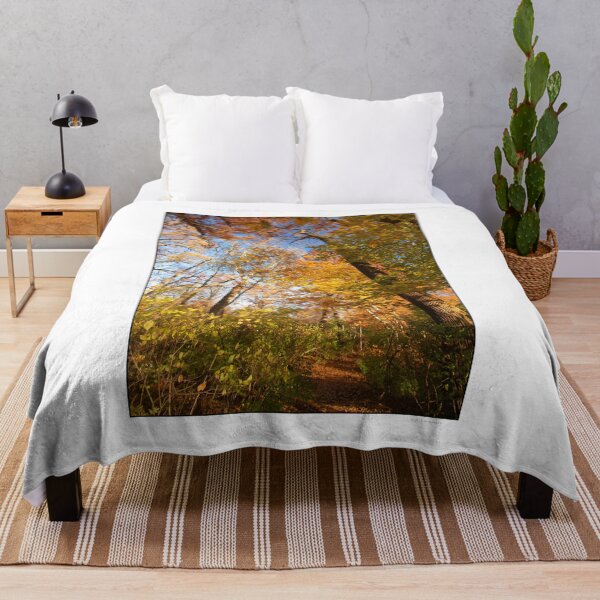 Item preview, Pennsylvania Woodland Path, Autumn designed and sold by AMacGPhilly.