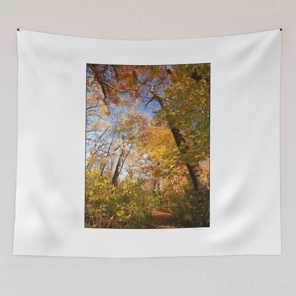 Item preview, Pennsylvania Woodland Path, Autumn designed and sold by AMacGPhilly.