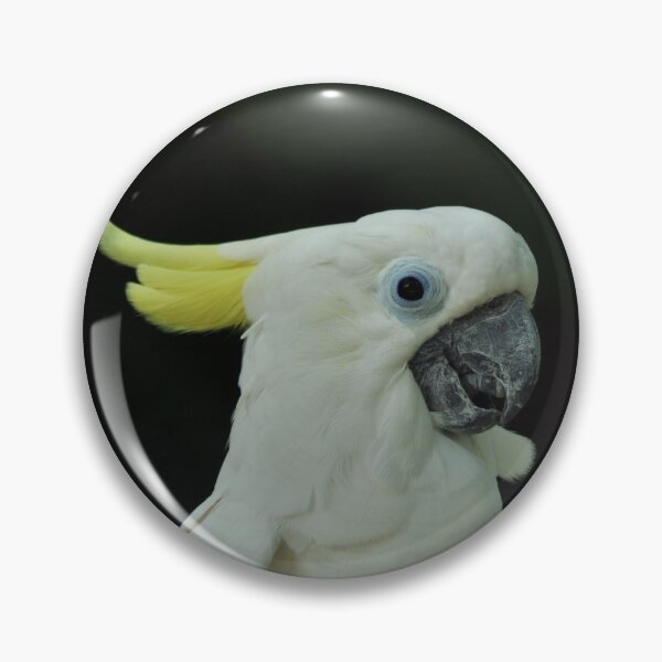 Item preview, yellow-crested parrot designed and sold by zea23design.