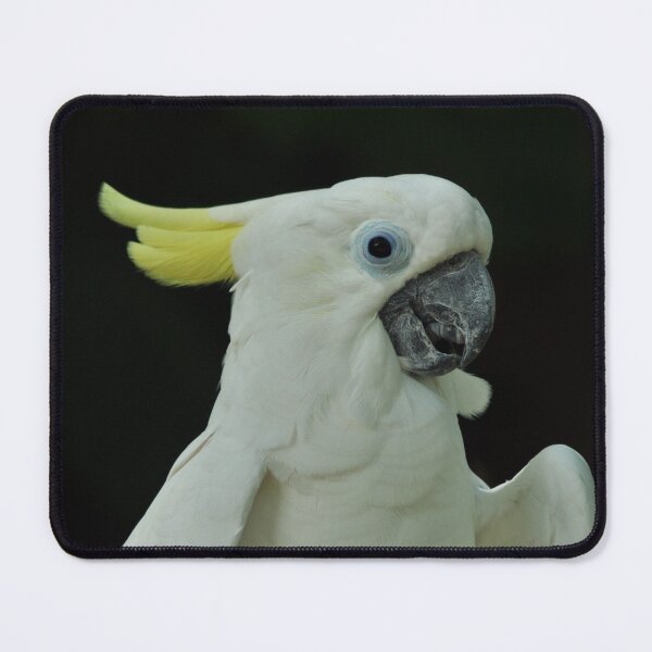 Item preview, yellow-crested parrot designed and sold by zea23design.