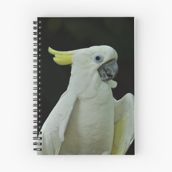 Item preview, yellow-crested parrot designed and sold by zea23design.