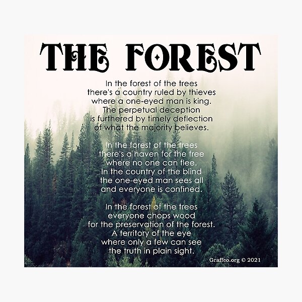 The Forest Photographic Print