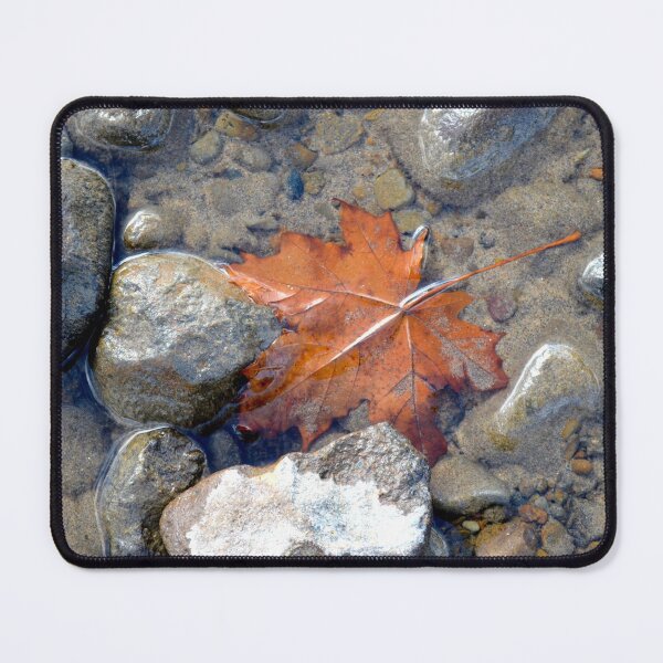 Item preview, Leaf in Lake Tahoe designed and sold by EmyBeeDesigns.