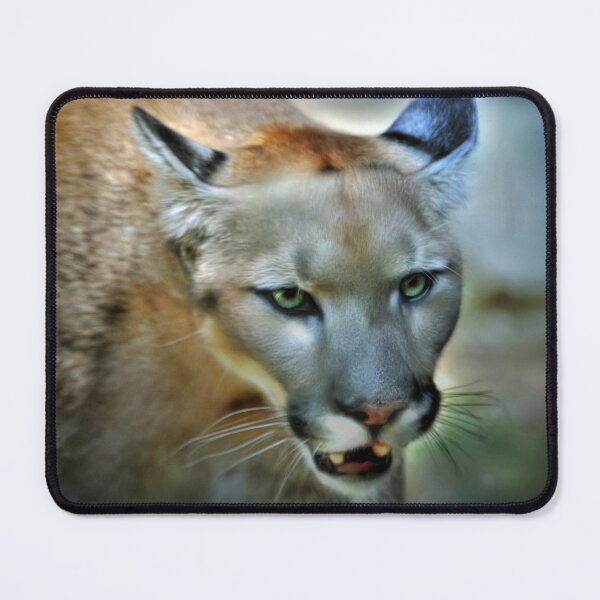 Item preview, Intense Eyes designed and sold by Savannah Gibbs.