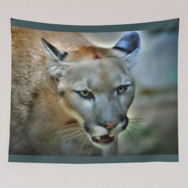 Item preview, Intense Eyes designed and sold by Savannah Gibbs.