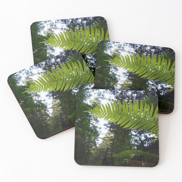 Item preview, California Redwoods and Fern designed and sold by EmyBeeDesigns.