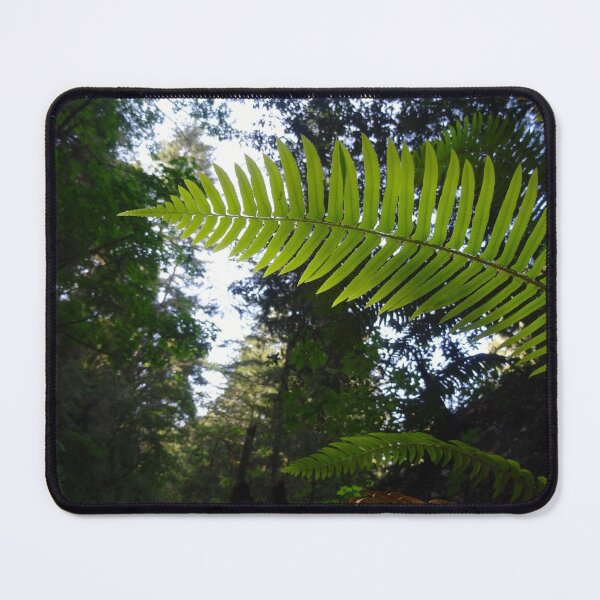Item preview, California Redwoods and Fern designed and sold by EmyBeeDesigns.