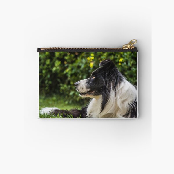Item preview, portrait of a border collie dog and still see what's around him designed and sold by tartaruga1988.
