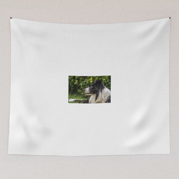 Item preview, portrait of a border collie dog and still see what's around him designed and sold by tartaruga1988.