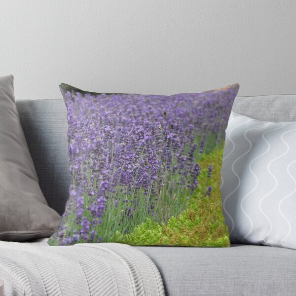 Aperçu de l'œuvre Lavender Field créée et vendue par macleaney.