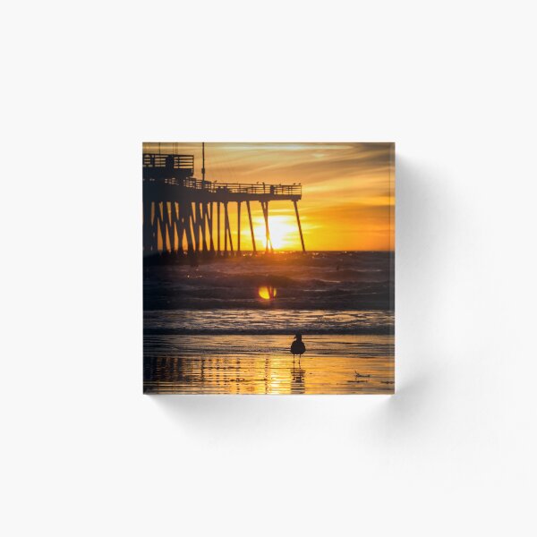 Pismo Beach Sunset with seagull Acrylic Block