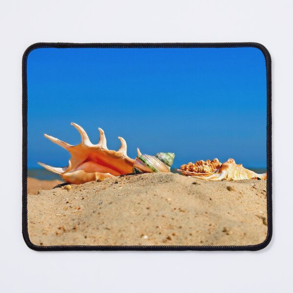 Item preview, Various conch shell on a beach against of the blue sea and sky. designed and sold by IaroslavB.