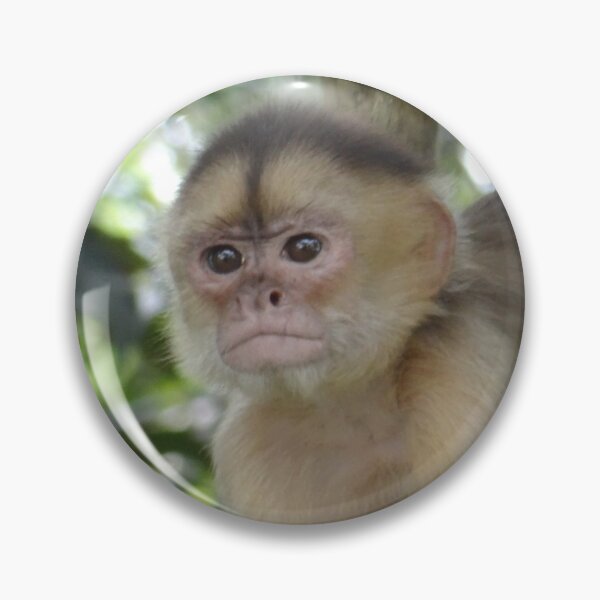 Item preview, Curious Monkey designed and sold by EmyBeeDesigns.