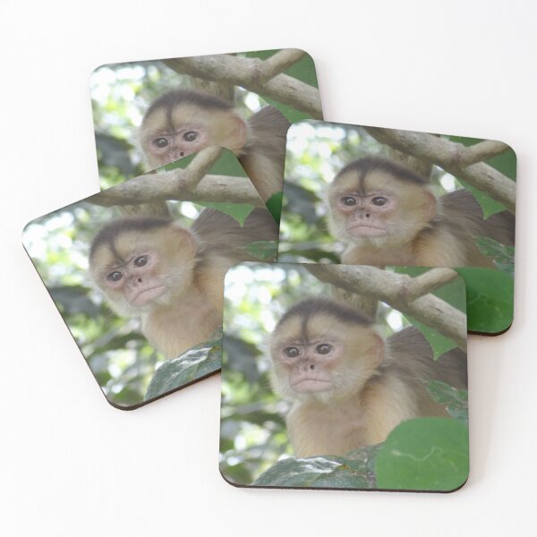 Item preview, Curious Monkey designed and sold by EmyBeeDesigns.