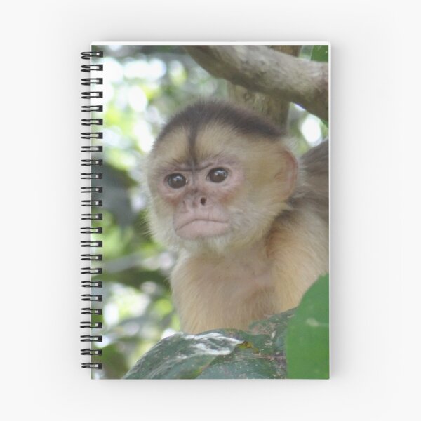 Item preview, Curious Monkey designed and sold by EmyBeeDesigns.