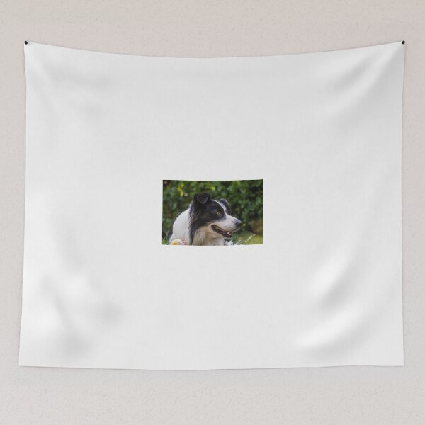 Item preview, portrait of a border collie dog and still see what's around him designed and sold by tartaruga1988.