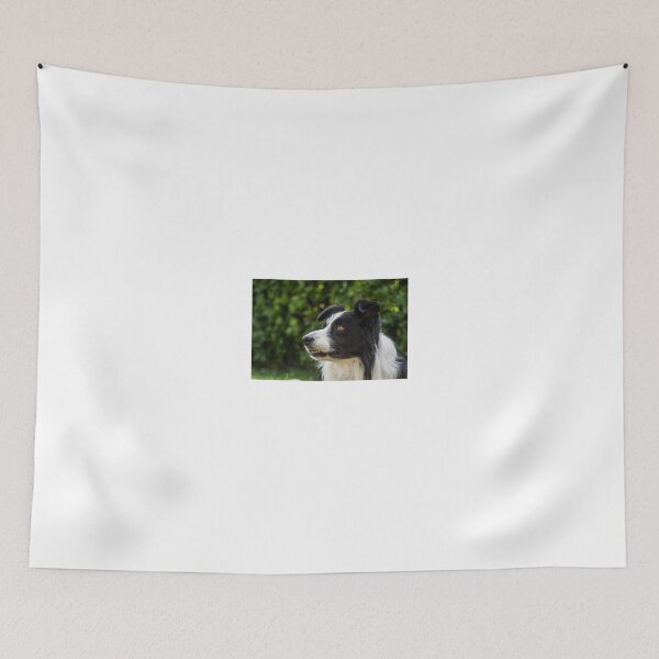 Item preview, portrait of a border collie dog and still see what's around him designed and sold by tartaruga1988.
