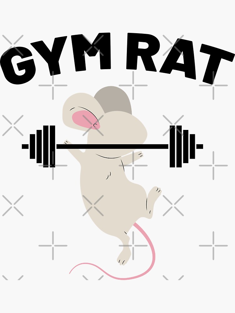 what does gym rat mean｜TikTok Search