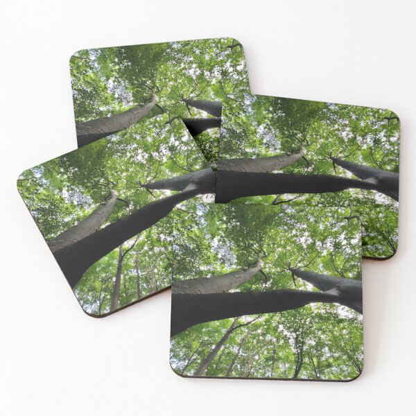 Item preview, Twin Beech designed and sold by Treemonk.