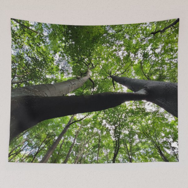 Item preview, Twin Beech designed and sold by Treemonk.