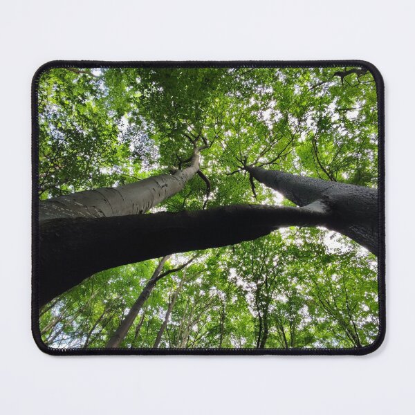Item preview, Twin Beech designed and sold by Treemonk.