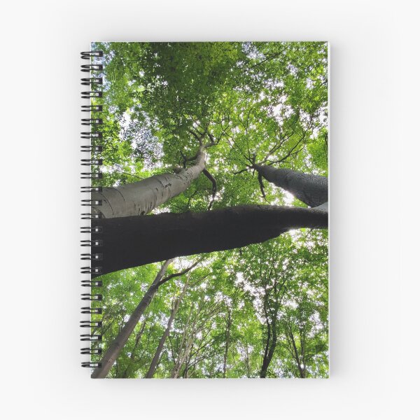 Item preview, Twin Beech designed and sold by Treemonk.