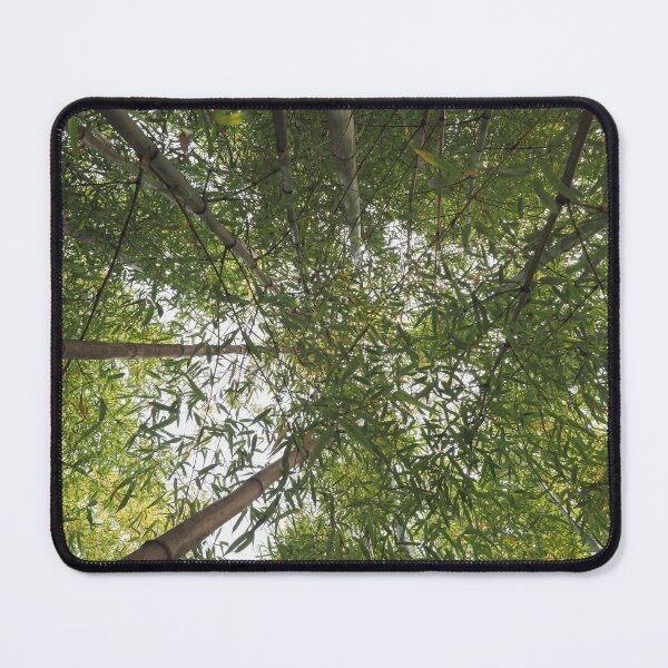 Item preview, bamboo trees designed and sold by europephotos.